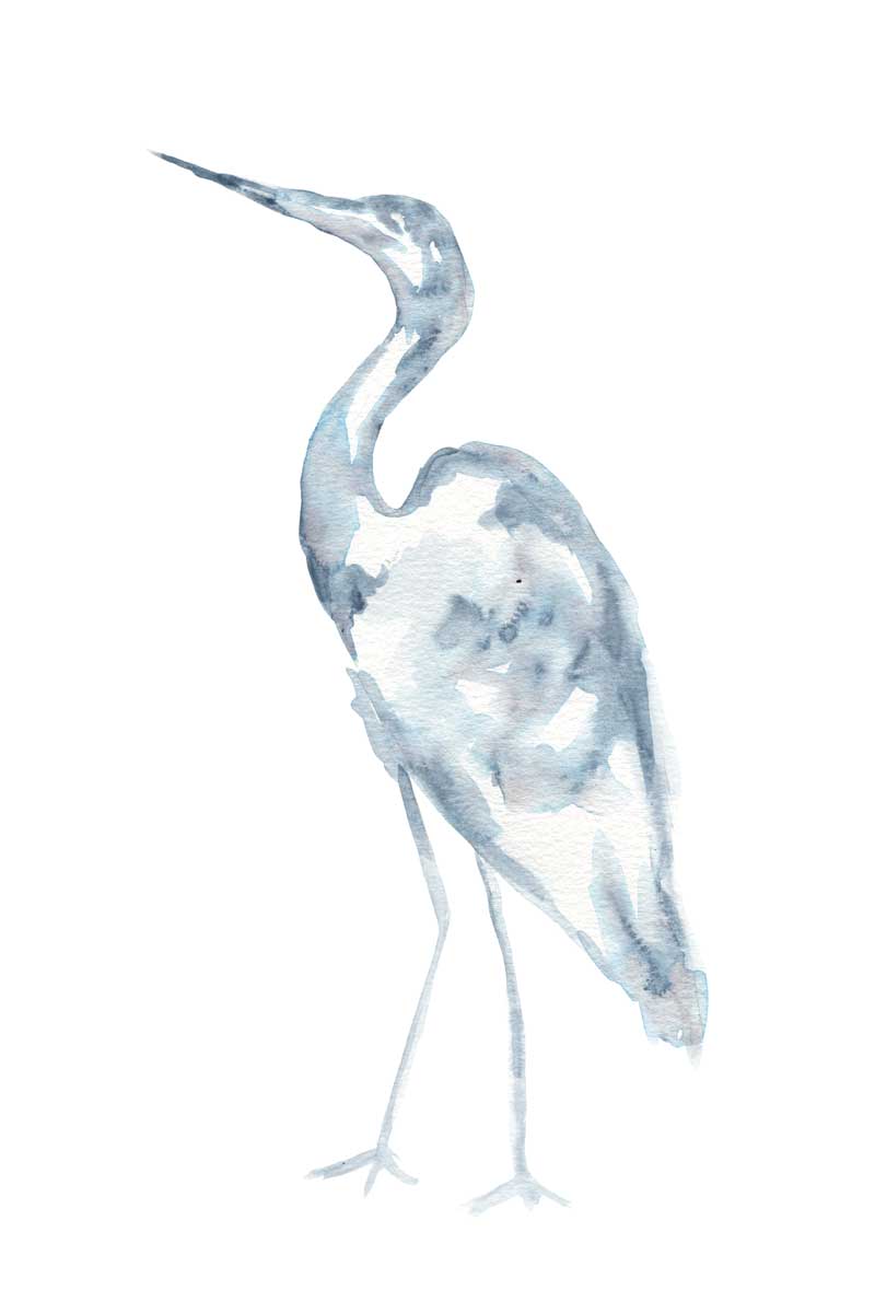 Beach Crane